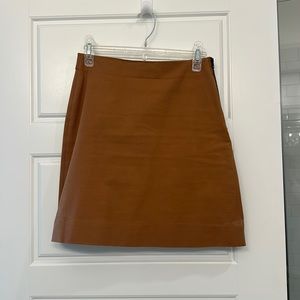 Everlane Skirt